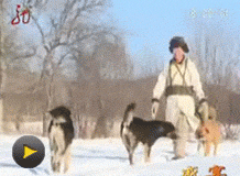 盛宴：鄂倫春鄉品全狍宴