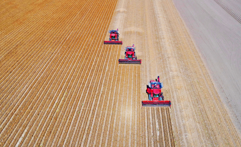 黑龙江粮食&ldquo;十七连丰&rdquo;